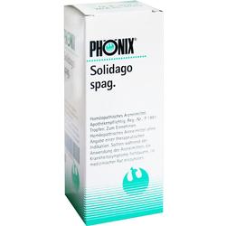 PHOENIX SOLIDAGO SPAG