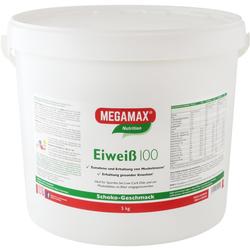 Ein weißer Eimer mit Proteinpulver im Schoko-Geschmack von Megamax.
